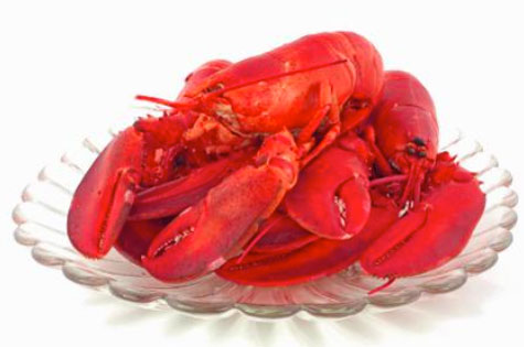 cooking lobsters cooking lobsters