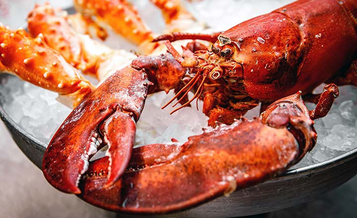 whole live lobster for fancy dinner whole live lobster for fancy dinner