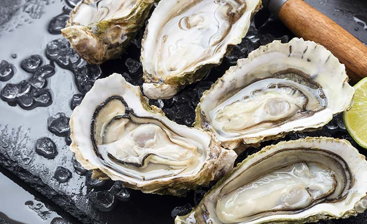 oyster appetizer for fancy dinner side dish oyster appetizer for fancy dinner side dish