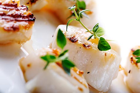 https://www.lobsters-online.com/smoked-scallop-appetizer.html